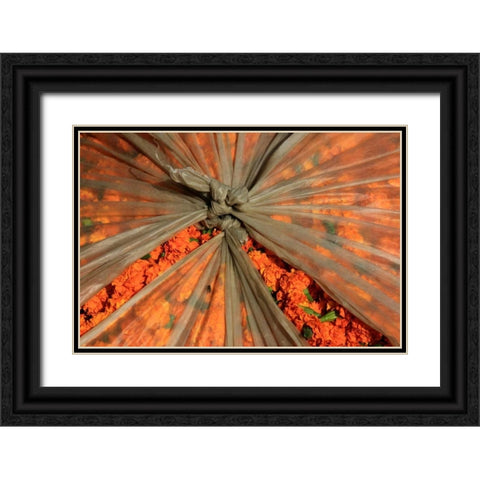Global Orange 3 Black Ornate Wood Framed Art Print with Double Matting by Rauscher, Michel