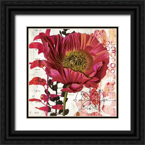Red Poppy Story   Black Ornate Wood Framed Art Print with Double Matting by Pluch, Melissa