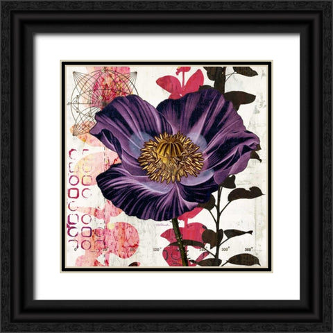 Plum Poppy Story Black Ornate Wood Framed Art Print with Double Matting by Pluch, Melissa
