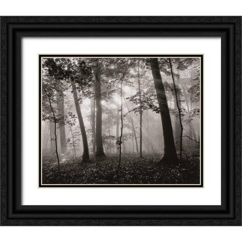 Sun Filters Black Ornate Wood Framed Art Print with Double Matting by Aniballi, Brett