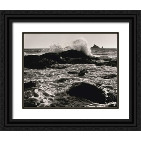 Roar of the Ocean Black Ornate Wood Framed Art Print with Double Matting by Aniballi, Brett