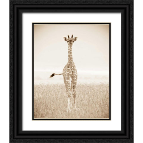 Spirit of Life 2 Black Ornate Wood Framed Art Print with Double Matting by Parker Nature Photography, Frank and Susann