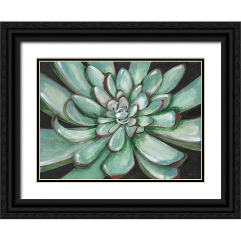 Desert Succulent Black Ornate Wood Framed Art Print with Double Matting by Ioco, Filippo