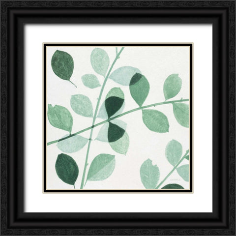 Grove Detail 3 Black Ornate Wood Framed Art Print with Double Matting by Wyatt, Norman Jr.