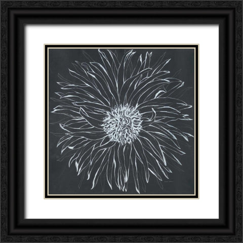 Chalk Bloom 1 Black Ornate Wood Framed Art Print with Double Matting by Adams, Connor
