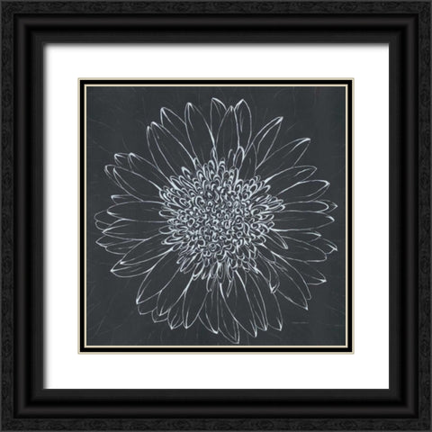 Chalk Bloom 2 Black Ornate Wood Framed Art Print with Double Matting by Adams, Connor