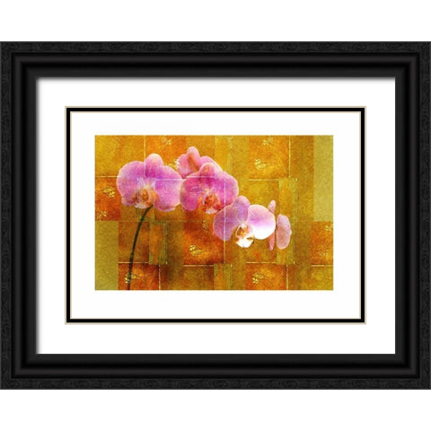Sheer Pink Orhcid Black Ornate Wood Framed Art Print with Double Matting by Robertson, Walter