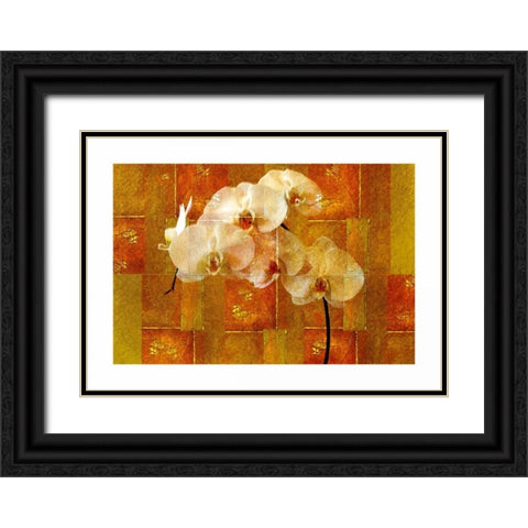Sheer White Orchid Black Ornate Wood Framed Art Print with Double Matting by Robertson, Walter