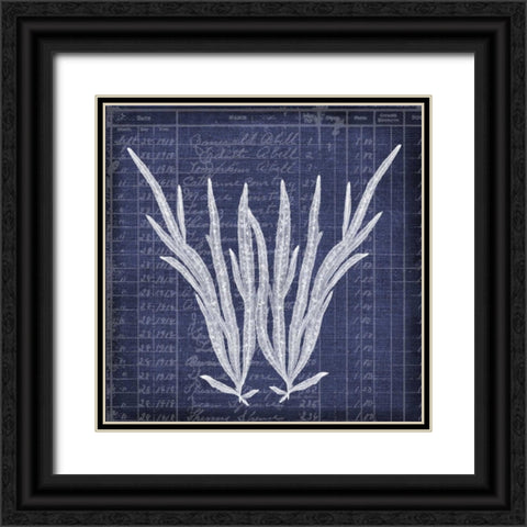 Seaweed Document 1 Black Ornate Wood Framed Art Print with Double Matting by Robertson, Walter
