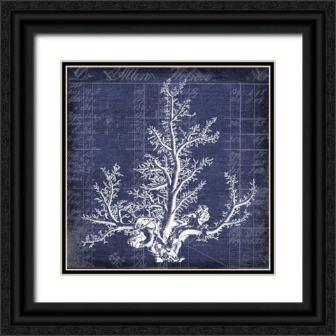 Seaweed Document 2 Black Ornate Wood Framed Art Print with Double Matting by Robertson, Walter