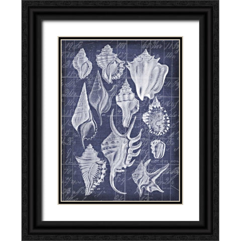 Shell Life 1 Black Ornate Wood Framed Art Print with Double Matting by Robertson, Walter