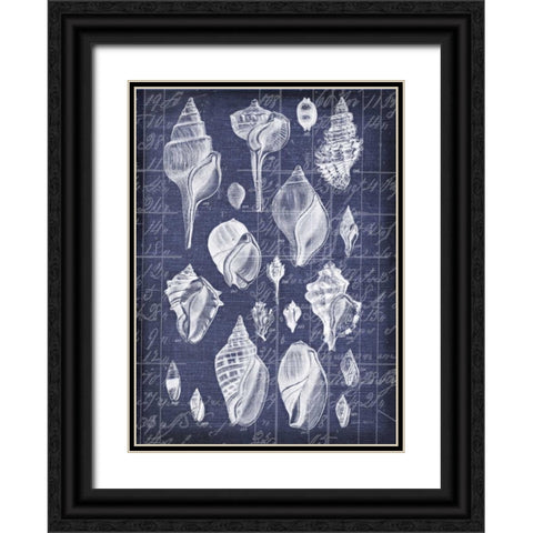 Shell Life 2 Black Ornate Wood Framed Art Print with Double Matting by Robertson, Walter