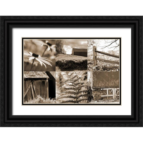 Roadside Beauty Black Ornate Wood Framed Art Print with Double Matting by Amber Light Gallery