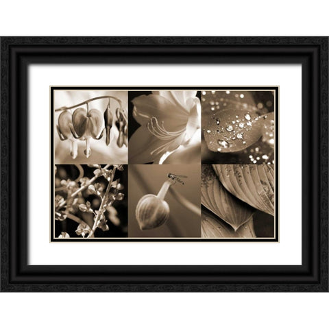 Garden Path Black Ornate Wood Framed Art Print with Double Matting by Amber Light Gallery