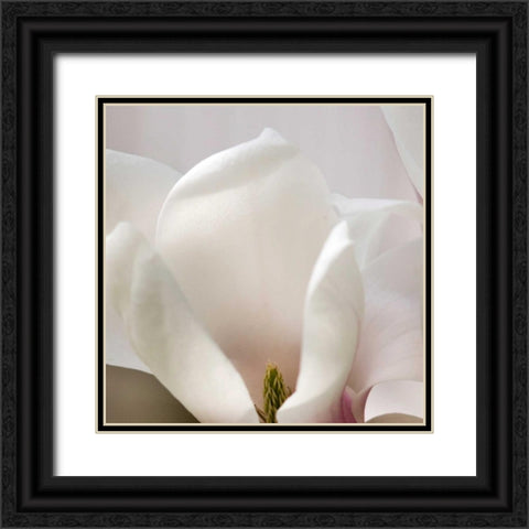 Magnolia Detail Black Ornate Wood Framed Art Print with Double Matting by Amber Light Gallery