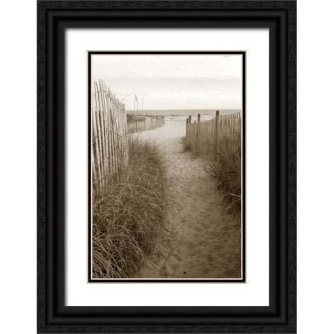 Beach Trail 1  Black Ornate Wood Framed Art Print with Double Matting by Amber Light Gallery