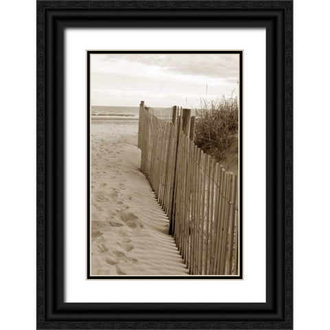 Beach Trail 2 Black Ornate Wood Framed Art Print with Double Matting by Amber Light Gallery