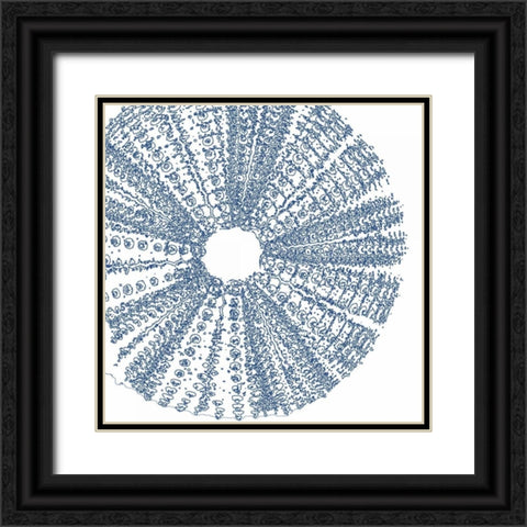 Sepia Shell Life 2 Black Ornate Wood Framed Art Print with Double Matting by Amber Light Gallery