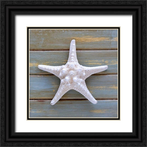 White Starfish  Black Ornate Wood Framed Art Print with Double Matting by Amber Light Gallery