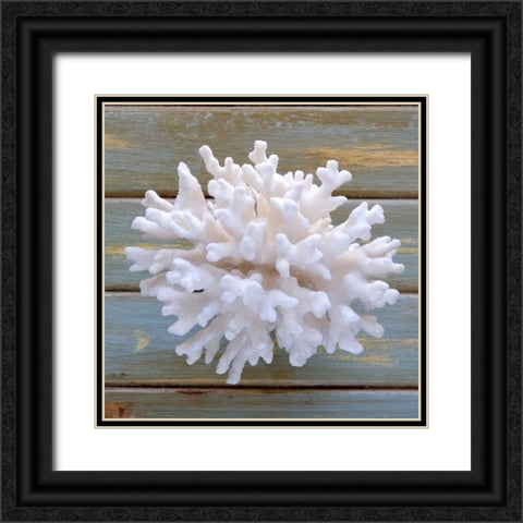 White Coral  Black Ornate Wood Framed Art Print with Double Matting by Amber Light Gallery