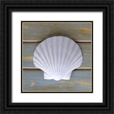 White Scallop  Black Ornate Wood Framed Art Print with Double Matting by Amber Light Gallery