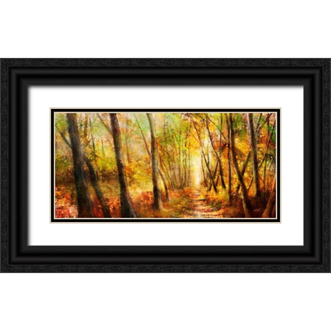 Forest Pathway Black Ornate Wood Framed Art Print with Double Matting by Roko, Ken