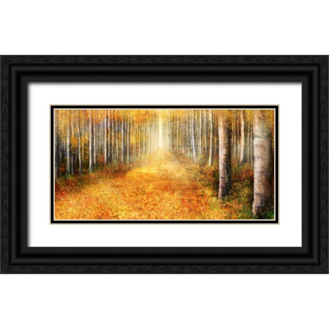 Yellow Path 1 Black Ornate Wood Framed Art Print with Double Matting by Roko, Ken