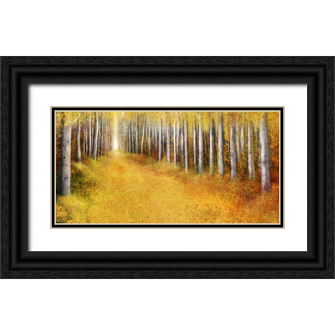 Yellow Path 2 Black Ornate Wood Framed Art Print with Double Matting by Roko, Ken