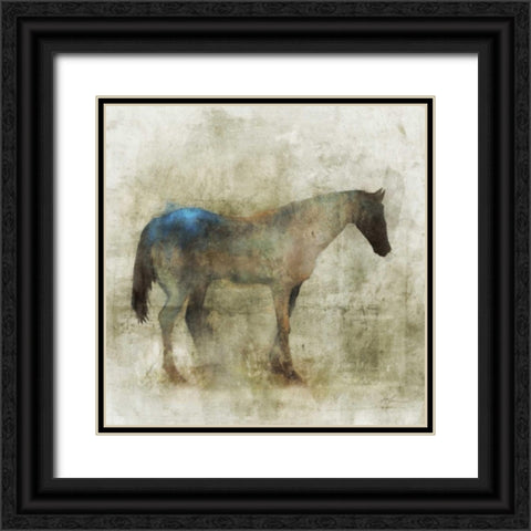 Lone Star 1 Black Ornate Wood Framed Art Print with Double Matting by Roko, Ken