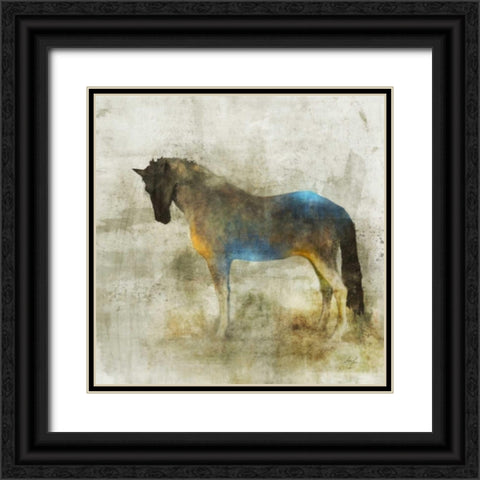 Lone Star 4 Black Ornate Wood Framed Art Print with Double Matting by Roko, Ken