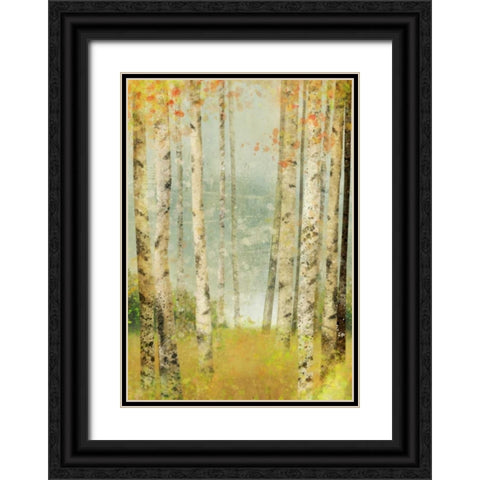 Yellow Birch 1 Black Ornate Wood Framed Art Print with Double Matting by Roko, Ken