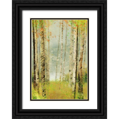 Yellow Birch 2 Black Ornate Wood Framed Art Print with Double Matting by Roko, Ken
