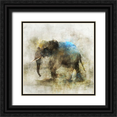 Pachyderm Dance 2 Black Ornate Wood Framed Art Print with Double Matting by Roko, Ken