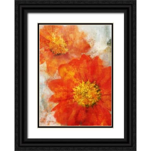 Tithonia Bloom 1 Black Ornate Wood Framed Art Print with Double Matting by Roko, Ken