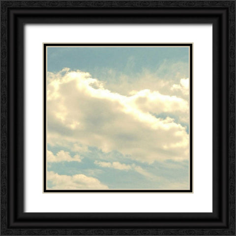 Glorious Sky Black Ornate Wood Framed Art Print with Double Matting by Dvorak, Vicki