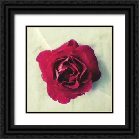 Paris Rose Black Ornate Wood Framed Art Print with Double Matting by Dvorak, Vicki