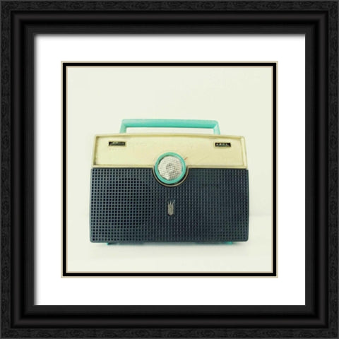 Mint Chocolate Black Ornate Wood Framed Art Print with Double Matting by Dvorak, Vicki