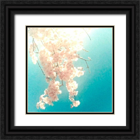 Polaroid Pink 2 Black Ornate Wood Framed Art Print with Double Matting by Dvorak, Vicki