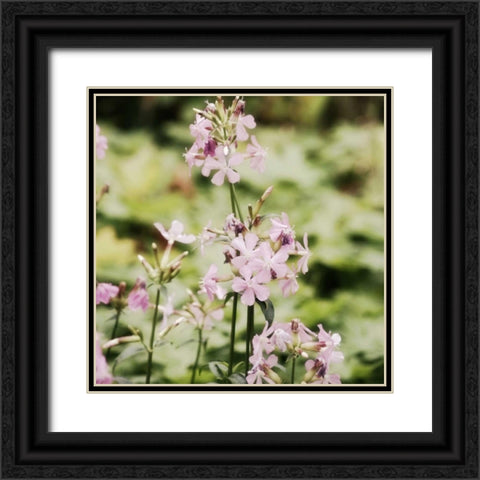 Garden Dreams 1 Black Ornate Wood Framed Art Print with Double Matting by Hoey, Linda
