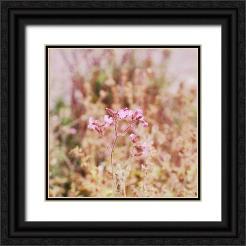 Garden Dreams 2 Black Ornate Wood Framed Art Print with Double Matting by Hoey, Linda