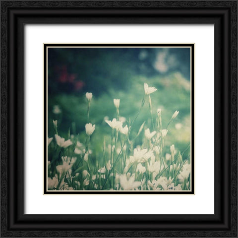 Garden Dreams 3 Black Ornate Wood Framed Art Print with Double Matting by Hoey, Linda