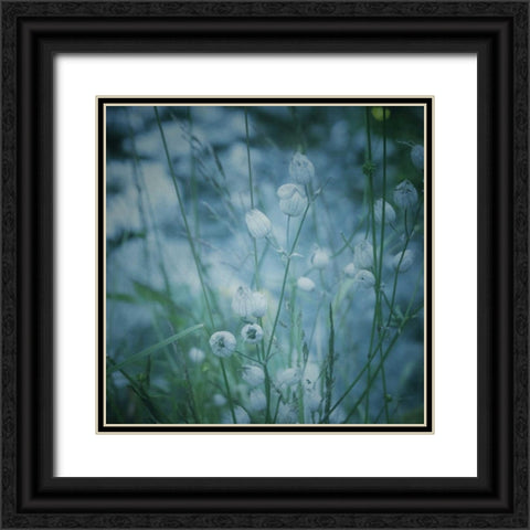 Garden Dreams 5 Black Ornate Wood Framed Art Print with Double Matting by Hoey, Linda