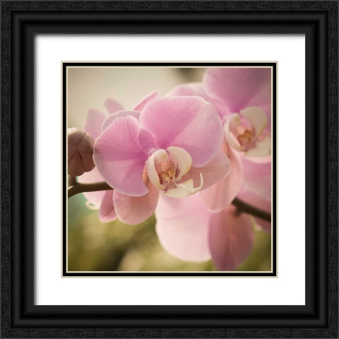 Orchid Affair Black Ornate Wood Framed Art Print with Double Matting by Sememza, Marlana