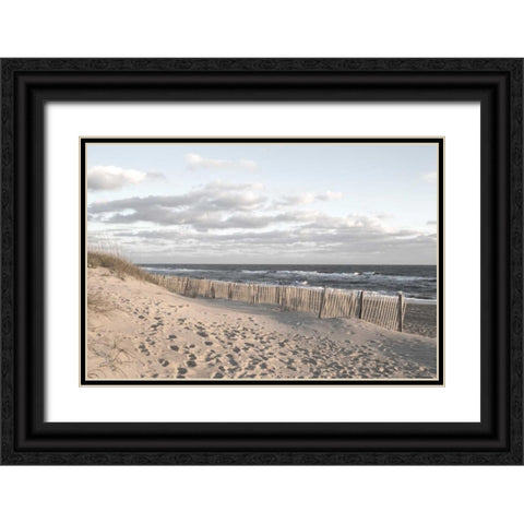 Ocean Clarity Black Ornate Wood Framed Art Print with Double Matting by Sememza, Marlana