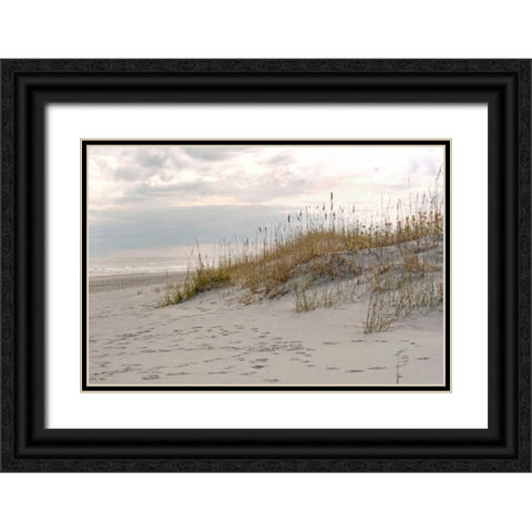 Calm by the Sea Black Ornate Wood Framed Art Print with Double Matting by Sememza, Marlana