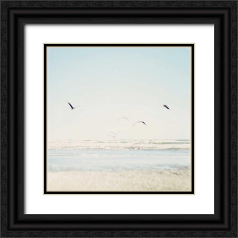Faded Flight Black Ornate Wood Framed Art Print with Double Matting by Susannah Tucker Photography