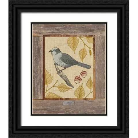 Gray Jay Black Ornate Wood Framed Art Print with Double Matting by Appleman, Sam