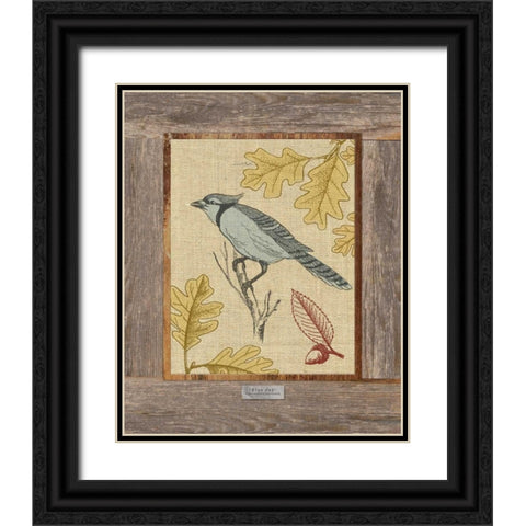 Blue Jay Black Ornate Wood Framed Art Print with Double Matting by Appleman, Sam
