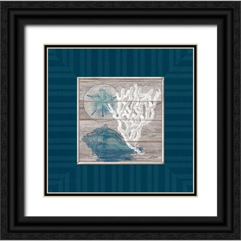 Coastal Wonders Black Ornate Wood Framed Art Print with Double Matting by Appleman, Sam