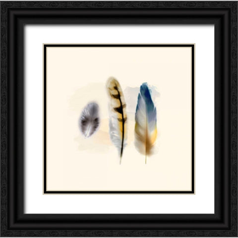 Three Feather Study 2 Black Ornate Wood Framed Art Print with Double Matting by Taylor, Evangeline